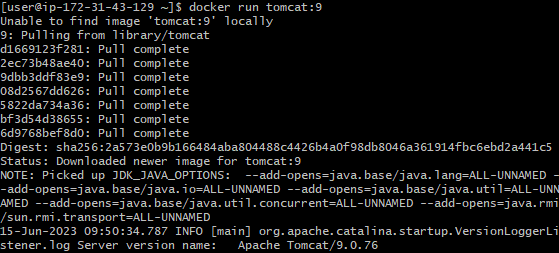 Running a container